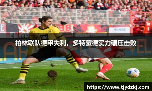 完美体育365平台官网