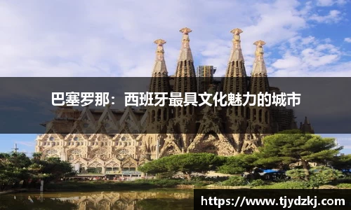 完美体育365平台官网