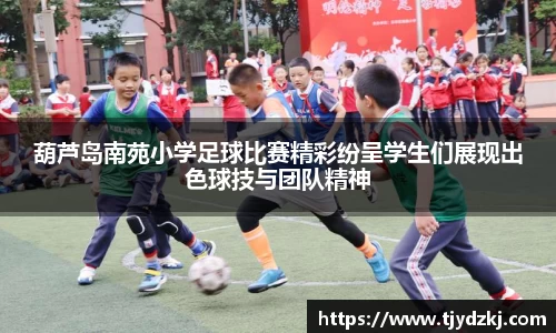 葫芦岛南苑小学足球比赛精彩纷呈学生们展现出色球技与团队精神