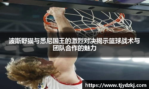 完美体育365平台官网
